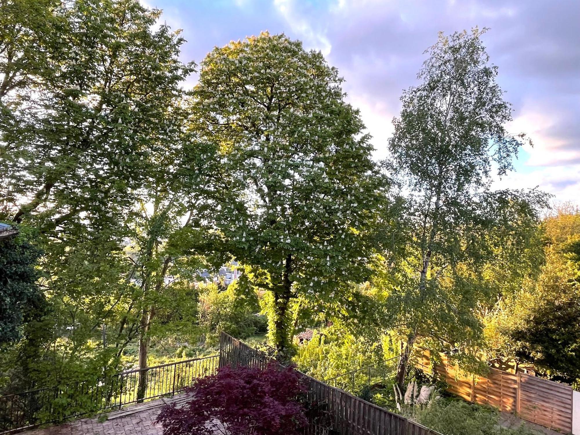 Sara Home Chennevières-sur-Marne Exteriör bild