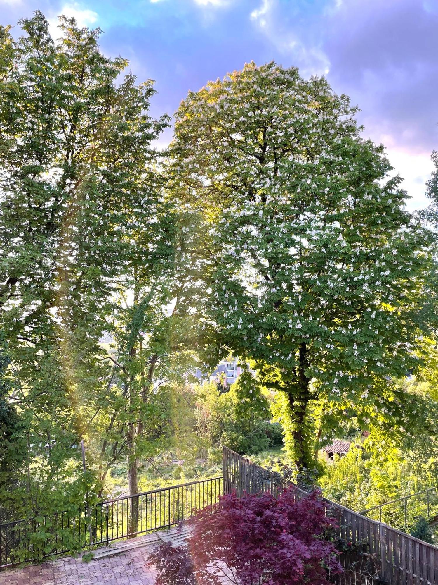 Sara Home Chennevières-sur-Marne Exteriör bild