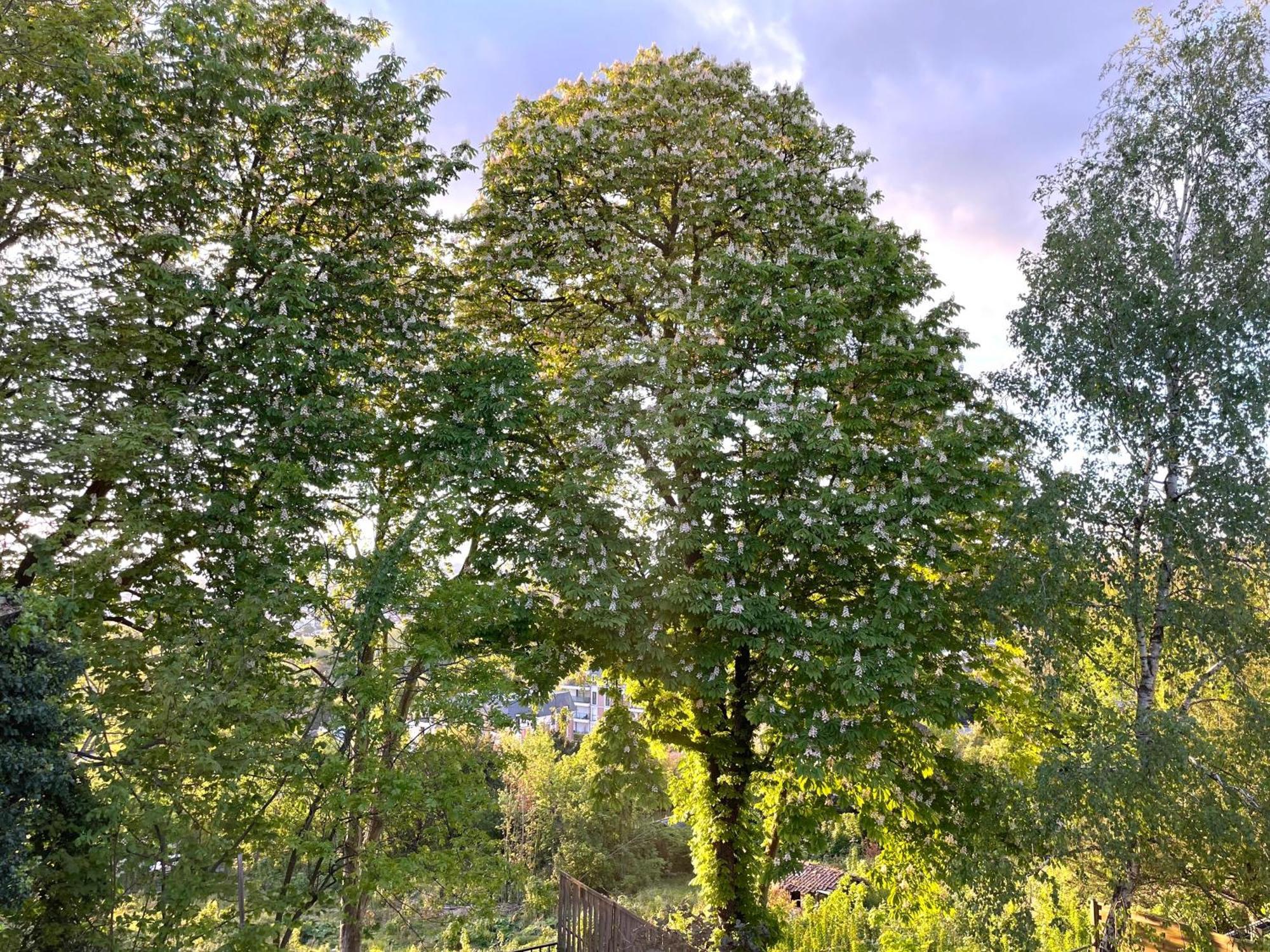 Sara Home Chennevières-sur-Marne Exteriör bild